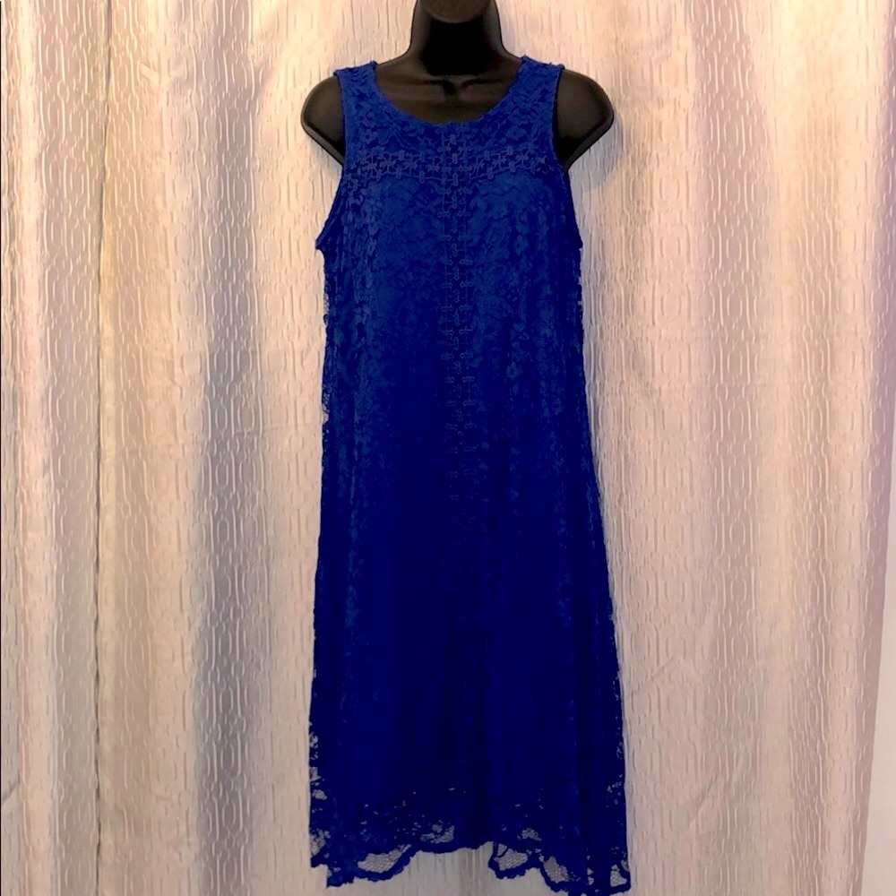 Blue lace sleeveless dress 14
